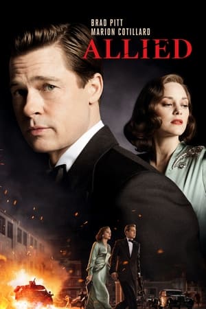 Allied 2016 Hindi Dual Audio 720p BluRay [1.3GB]