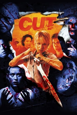 Cut (2000) Hindi Dual Audio 480p BluRay 300MB