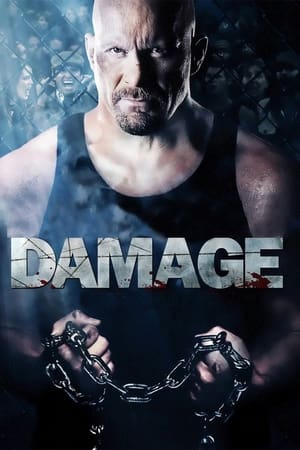 Damage 2009 Hindi Dual Audio 480p BluRay 330MB