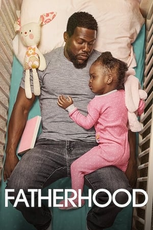 Fatherhood (2021) Hindi Dual Audio 720p WebRip [1GB]