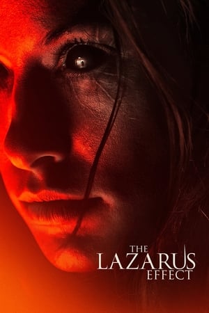 The Lazarus Effect (2015) Hindi Dual Audio 480p BluRay 300MB