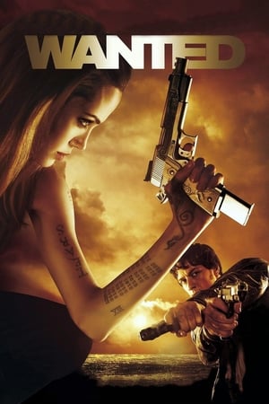 Wanted (2008) Hindi Dual Audio 720p BluRay [1GB]